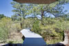 My Gallery: Image