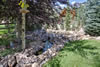 My Gallery: Image