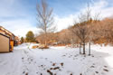 My Gallery: 24 1613 Carnavon Place Colorado-large-026-Back Yard-1500x1000-72dpi