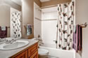 9651 Carriage Creek Point: Image